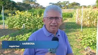 Sisteminha de produção garante qualidade de vida no campo