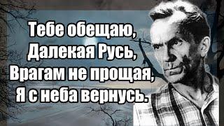 ПЕПЕЛ СТУЧАЩИЙ В ЛЮДСКИЕ СЕРДЦА.  Аввакум в Пустозерске. Варла́м  Шала́мов. Читает Velvichia Wolf