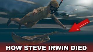 Steve Irwin Death Video (Footage Recreation)