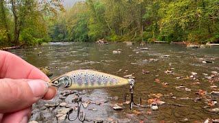 Jerkbait Fishing For RIVER TROUT! (Rapala Countdown Elite)