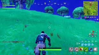 Fortnite grass blinking (AMD R9 390)