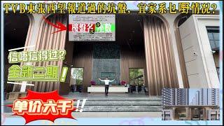TVB亲自报道过的黑心盘，宜家重新推出第二期，到底有滴乜嘢情况？丨听讲话单价先六千蚊，总价不过五十多万丨究竟信唔信得过？？？丨湾区置业丨湾区房媒双子星