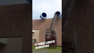 [카누 호환캡슐] 무더운 여름에 딱 맞는 카누 썸머 블렌드