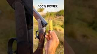 Which Shell Hits Hardest? Shotgun Power Test! #gun