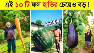 এত বড় সবজি ও ফল আপনি জীবনে কখনোই দেখেননি..!  || World Biggest Fruits & Vegetables in BANGLA