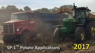 SP 1 Potato Applications