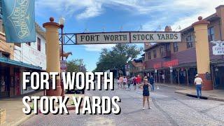 [4K] Fort Worth Stock Yards Cattle Drive Walking Tour