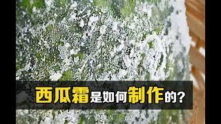 西瓜霜竟然真的是西瓜做的？把芒硝放进瓜瓤中，神奇的现象发生了