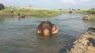 Chitwan Nationalpark und Sapana Village Lodge (Nepal)