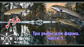 34) My Fishing World Три рыбы для фарма!? Часть 1.