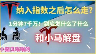 (Eps.59)1分钟7千万买入，到底发生了什么？纳入指数后特斯拉怎么走--小马来啦-Alan访谈系列