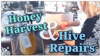 Honey Harvest and Hive Repairs