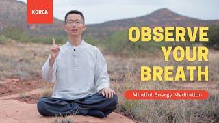 Observe Your Breath | Mindful Qi Energy Meditation | Qigong Breathwork #2