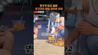 친구가 되고 싶어 유기견이 매일 찾아온 이유