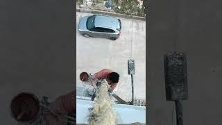 Rahul painter subscribe karo like karo #shorts #shortvideos #viralvideo #tredinga video