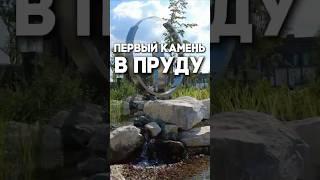 Первый камень в пруду