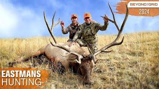 Two Backcountry Giants! Hunting Big Bull Elk | Beyond the Grid