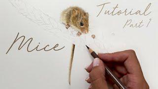 Harvest Mice in Coloured Pencils / Drawing Tutorial - Part 1