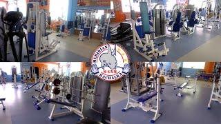 Качалка M-GYM: только для настоящих фанатов!