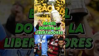 Brasil domina la Copa Libertadores ️#libertadores #conmebol #copalibertadores