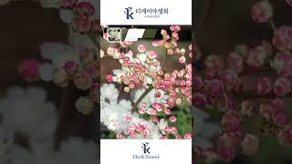  유럽신상, 멀티플렉스 터리풀 #정원 #꽃 #야생화