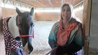 MORNING BARN ROUTINE!  CARING FOR HORSES! mp4