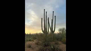 Tucson Hiking Adventures