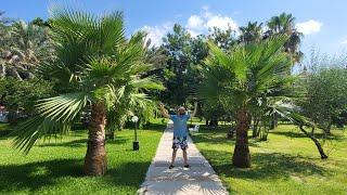 In the garden / Süral Otel, Side - Antalya, Türkiye, 2024