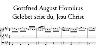 Homilius - Gelobet seist du, Jesu Christ - Kam organ, Dordrecht, Sweelinq