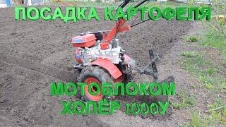 Посадка картофеля мотоблоком Хопёр 1000У