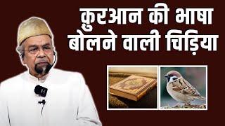 The wise bird who spoke Qur'an  | Friday Sermon by Allama Syed Abdullah Tariq