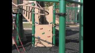 Vertical Ascent® Climber - PlayBooster® - Landscape Structures