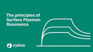 Principles of surface plasmon resonance (SPR) used in Biacore™ systems - Cytiva