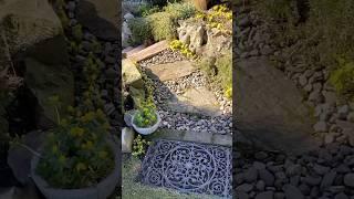 Transform Your Home: Best Outdoor Living Space Ideas on a Budget Revealed | il1er