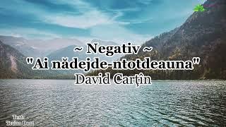 Negativ - Ai nădejde - David Cartîn [2022]