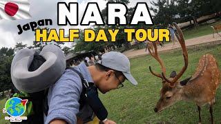  NARA, JAPAN Half Day Travel Guide  #japan #japantravel #narajapan