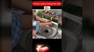 مواقف ذكية هترجع ثقتك فى البشرية   شوية ج145 #summeronshorts