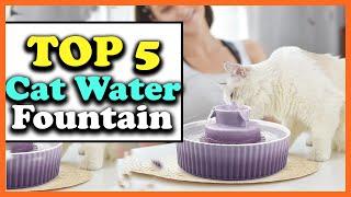 Top 5 Best Cat Water Fountains of 2022