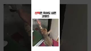 선풍기 보고 본능적으로 날 준비함 ㅋㅋㅋㅋㅋㅋ