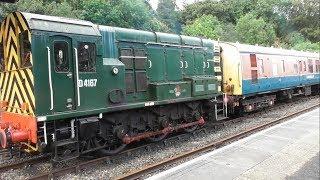 Dartmoor Railway, July 2019