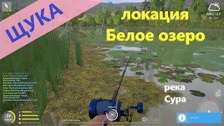 Русская рыбалка 4 - река Сура - Щука в пруду