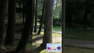 У меня о Сочи и недвижимости. Подпишись.