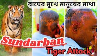 Sundarban Tour। বাঘের সাথে ভয়ঙ্কর লড়াই করে বেঁচে ফেরার লোমহর্ষকর  ঘটনা#viralvideo#video #shortsfeed