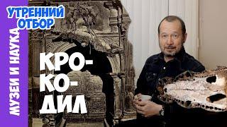 Неаполитанский крокодил из легенды, сувенир крестоносца и яйцо Вергилия. Игорь Фадеев