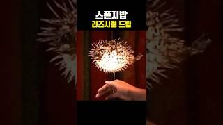 스폰지밥 리즈시절 드립ㅋㅋㅋㅋ