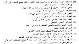 ضادية ابن زيدون