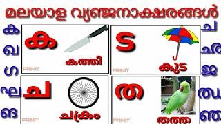 Learn Malayalam Consonants(വ്യഞ്ജനം, vyañjanam) | Malayalam Alphabet | Malayalam Aksharamala/ka,ga/