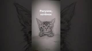 мои рисунки, котёнок. пишите комеетарии . возможно следующий рисунок будет ваш. подпись на канал