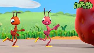 Hotshots | ANTIKS | Moonbug Kids - Funny Cartoons and Animation