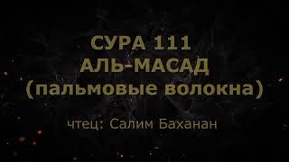 Сура 111. Аль-Масад (Пальмовые волокна)